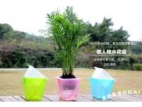 懶人方形儲水花盆 吸水小花盆 定植籃子 自動澆水花盆