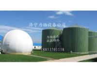 養(yǎng)豬場(chǎng)里的“環(huán)保寶貝”  厭氧發(fā)酵罐