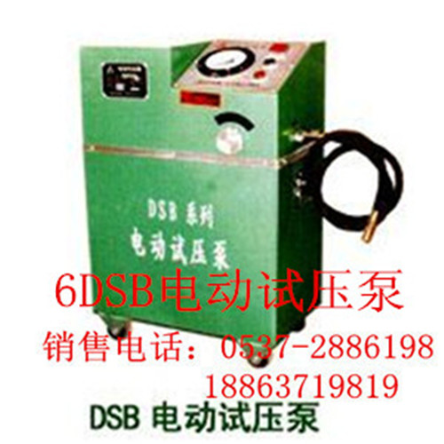 6DSB电动试压泵