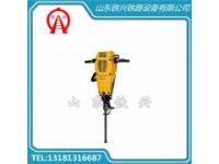 鐵路專用_眼鏡蛇搗固鎬Cobra TT的批發(fā)價格_搗固鎬制造