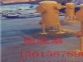 脫硫凈化系統(tǒng)是沼氣工程中重要的設備杭州