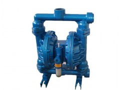 英国AXFLOW隔膜泵S1FB1SGTABS 600