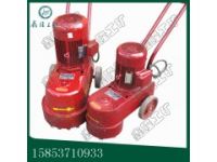 2018熱線DMS250水磨石機(jī) 發(fā)貨及時(shí) 廠家零利潤(rùn)銷(xiāo)售