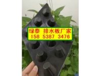 供應(yīng)衡水】屋頂花園排水板★車庫(kù)2公分濾水板