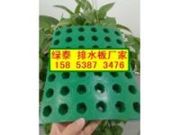 咸陽(yáng)《》車(chē)庫(kù)綠化隔根板⊥5公分蓄排水板15853873476