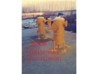 正負壓保護器-沼氣脫水器驚喜價懷化