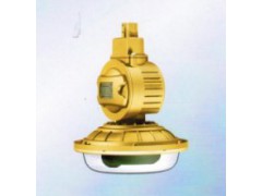 吸顶式SBD1102-YQL40免维护节能防爆灯