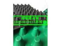 （建筑車庫(kù)排水板）石家莊車庫(kù)綠化排水板￥保定車庫(kù)頂板排水板