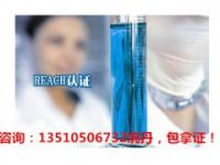 IPS獨輪車CE認證質(zhì)檢報告/ROHS認證FCC認證