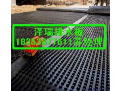 供应%屋面种植排水板（天津）车库绿化排水板