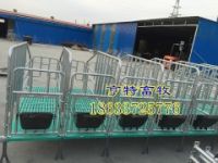 贵州毕节猪场采购母猪复合定位栏带食槽成套设备价格