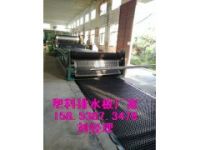 荊州-車庫頂板濾水板∠抗根穿刺排水板15853873476