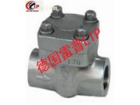 進(jìn)口對夾式止回閥圖（ 進(jìn)口超高壓止回閥品牌）