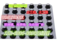 大冶地下室頂板排水板廠家