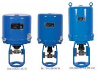 揚(yáng)州瑞浦381LSD-250直行程電動(dòng)執(zhí)行器