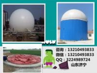 沼氣工程規(guī)?；B(yǎng)殖場糞污處理