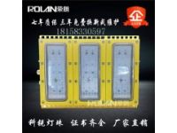 50W電廠發(fā)電站防爆燈 60W路燈式防爆燈