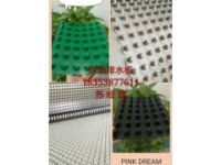 天津屋頂種植綠化排水板/車庫頂板排水板多少錢一平方