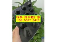 承德%車庫綠化透水板⊥滄州耐根穿刺疏水板