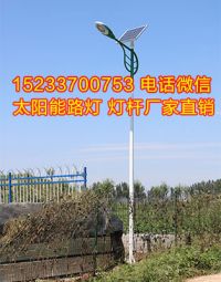 唐山5米6米30瓦太陽能路燈哪個廠家價格低