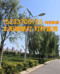 唐山5米6米30瓦太陽能路燈哪個廠家價格低