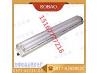 2×20W嵌入式防爆防腐全塑熒光燈