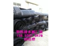 供應(yīng)新余[屋頂花園疏水板]2米寬車(chē)庫(kù)排水板