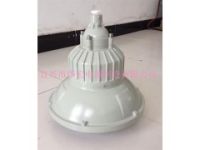 BAD98防爆防腐燈(無極燈)(IIC、DIP)