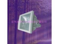 防水防塵燈 HGF901防水防塵防眩泛光燈