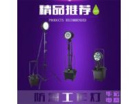 防爆泛光工作燈 防爆工作燈 FW6102GF