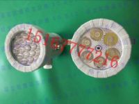 BAK51防爆視孔燈   15w反應(yīng)釜視孔燈　