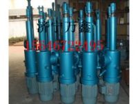 專業(yè)廠家銷售電液動(dòng)推桿 電液推桿